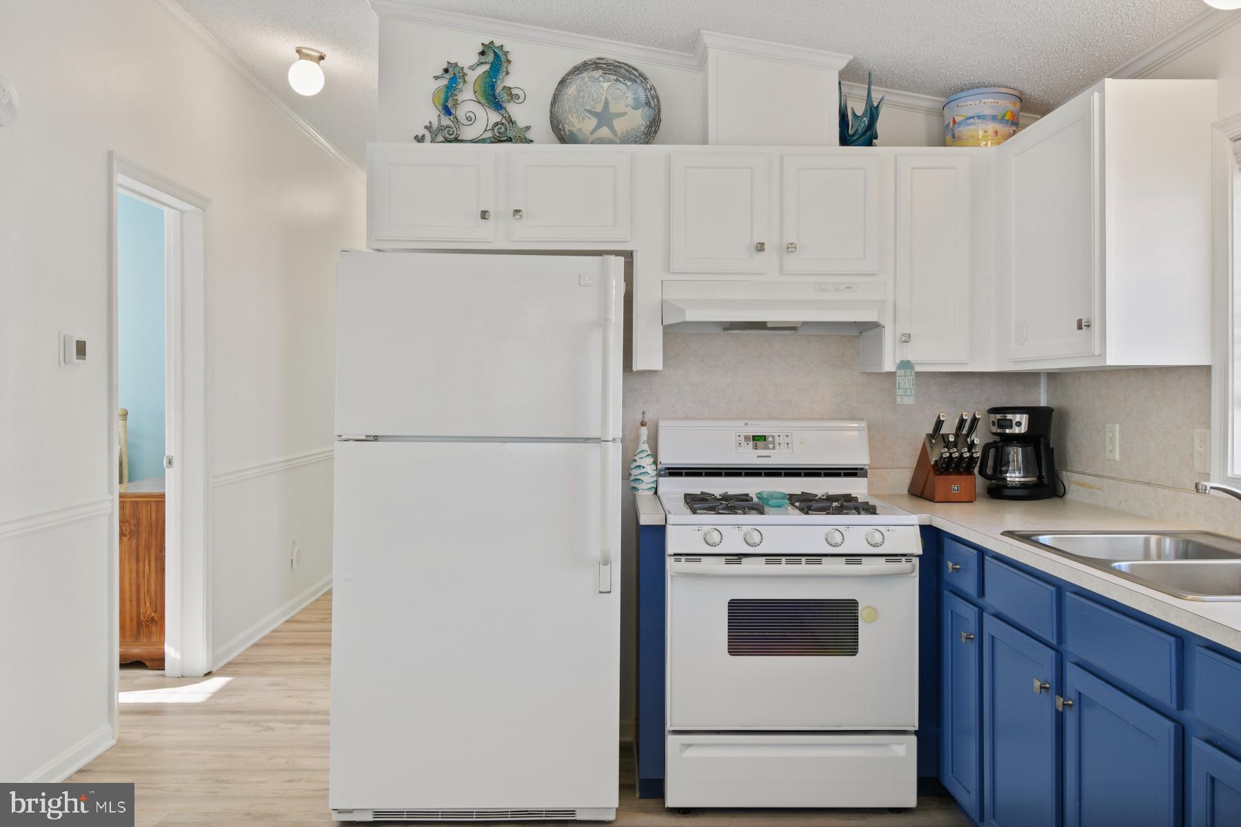 125 Clamshell Road Ocean City, MD 21842 - Photo 11 of 42 Kitchen