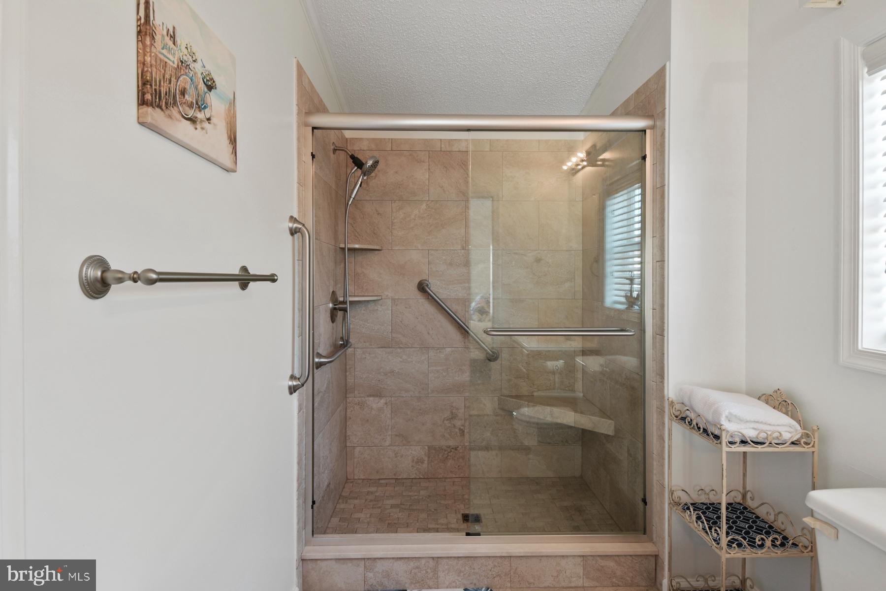 125 Clamshell Road Ocean City, MD 21842 - Photo 19 of 42 Primary Bathroom