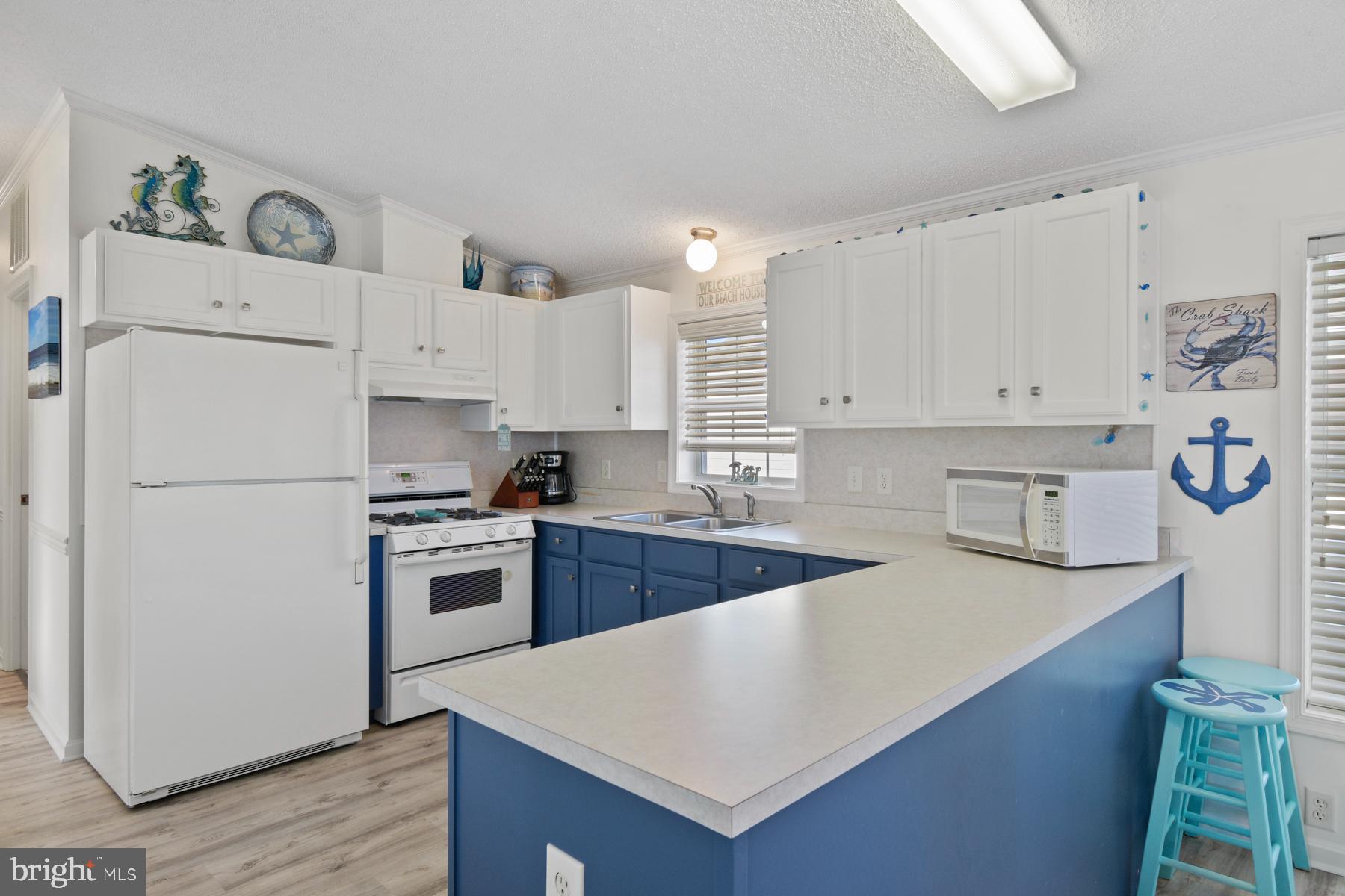 125 Clamshell Road Ocean City, MD 21842 - Photo 9 of 42 Kitchen