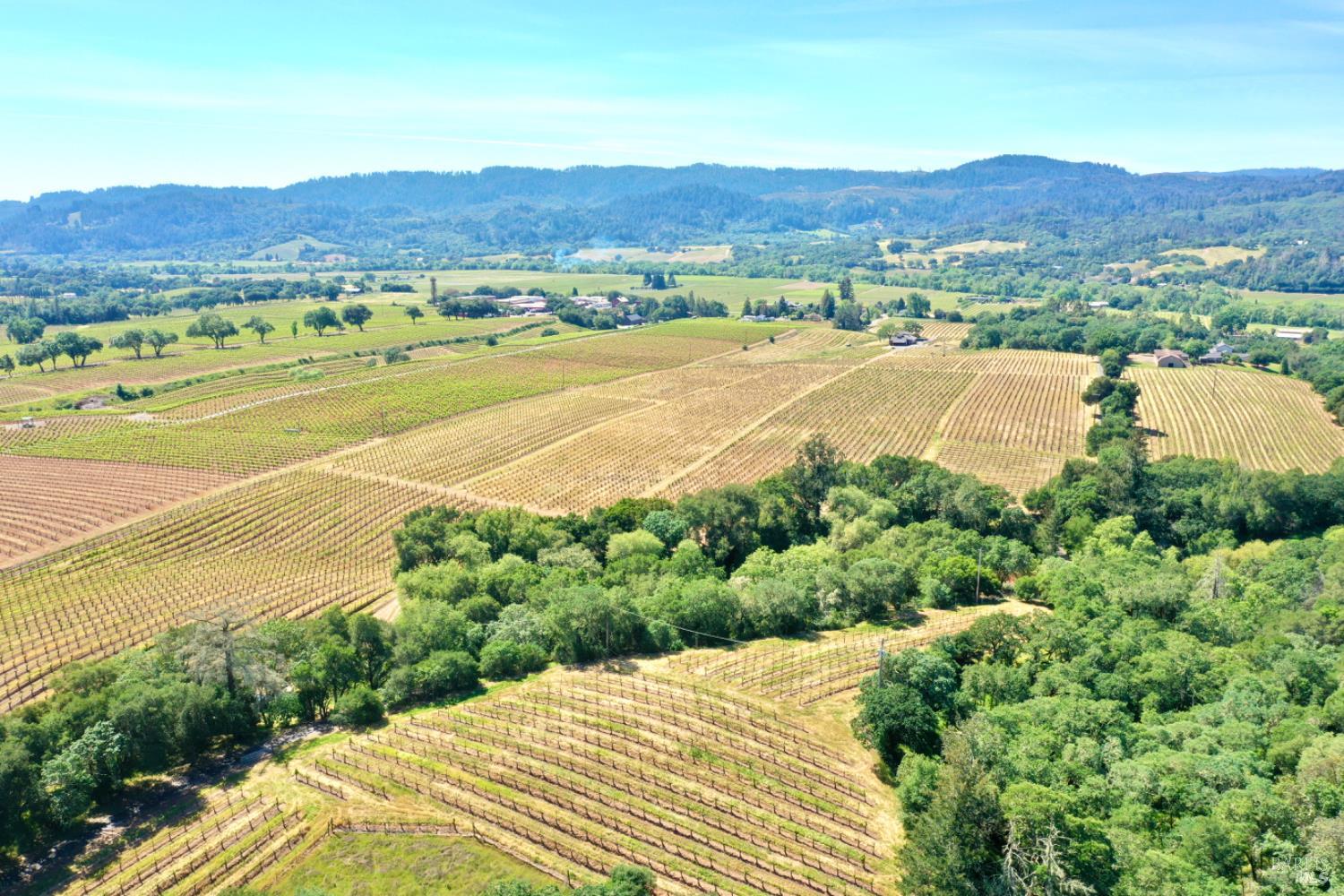 5143 Dry Creek Road Healdsburg, CA 95448 - Photo 5 of 85