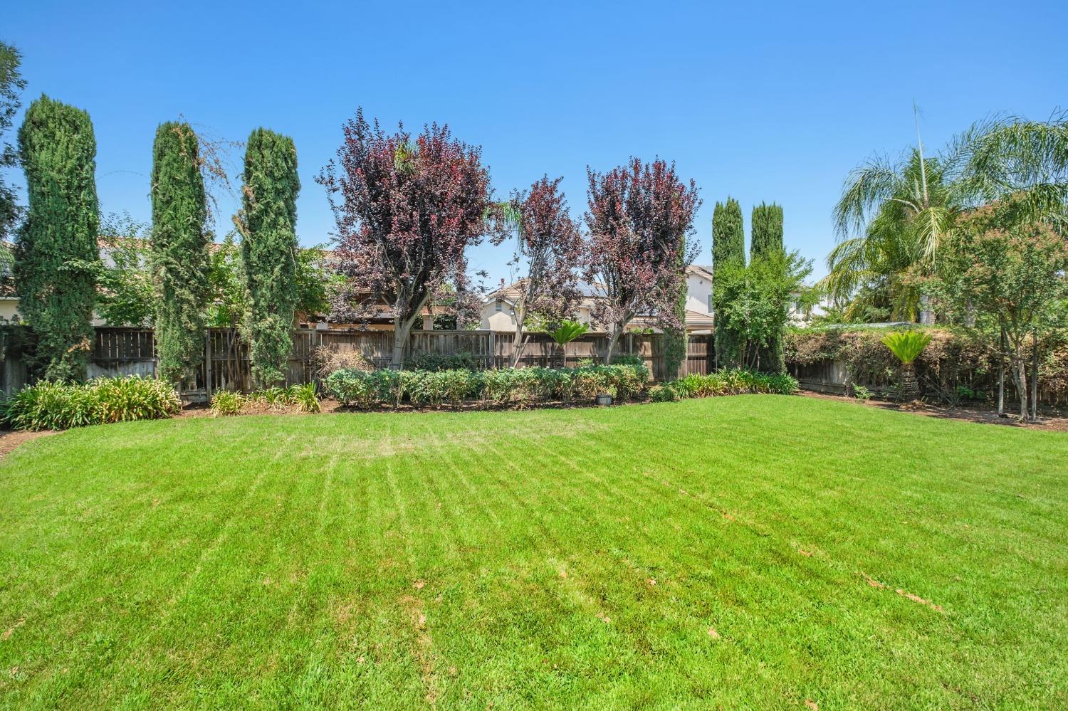 3227 Lester Avenue Clovis, CA 93619 - Photo 24 of 26 Backyard