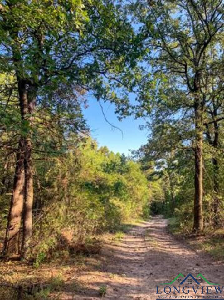Tbd Sand Country Road Jefferson, TX 75657 - Photo 20 of 35 Gallery Image 20