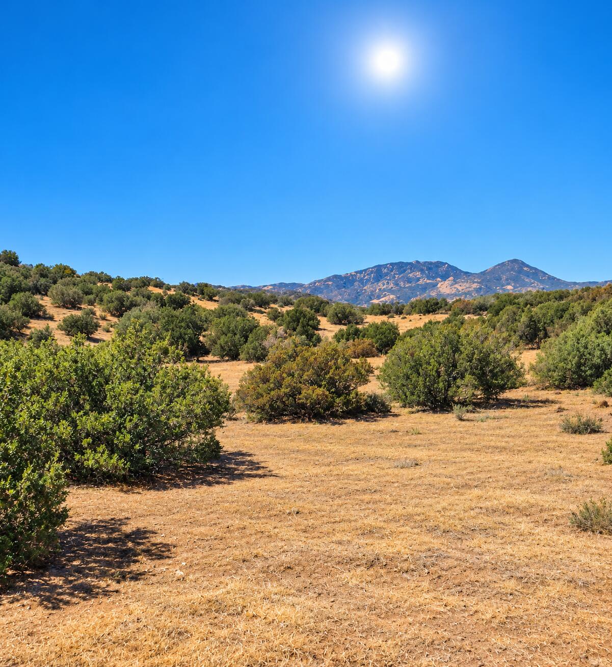 Juniper Way Tehachapi, CA 93561 - Photo 1 of 4 22423