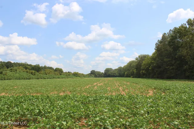 $425,000 | 700 Spain Road, Ecru, MS 38841