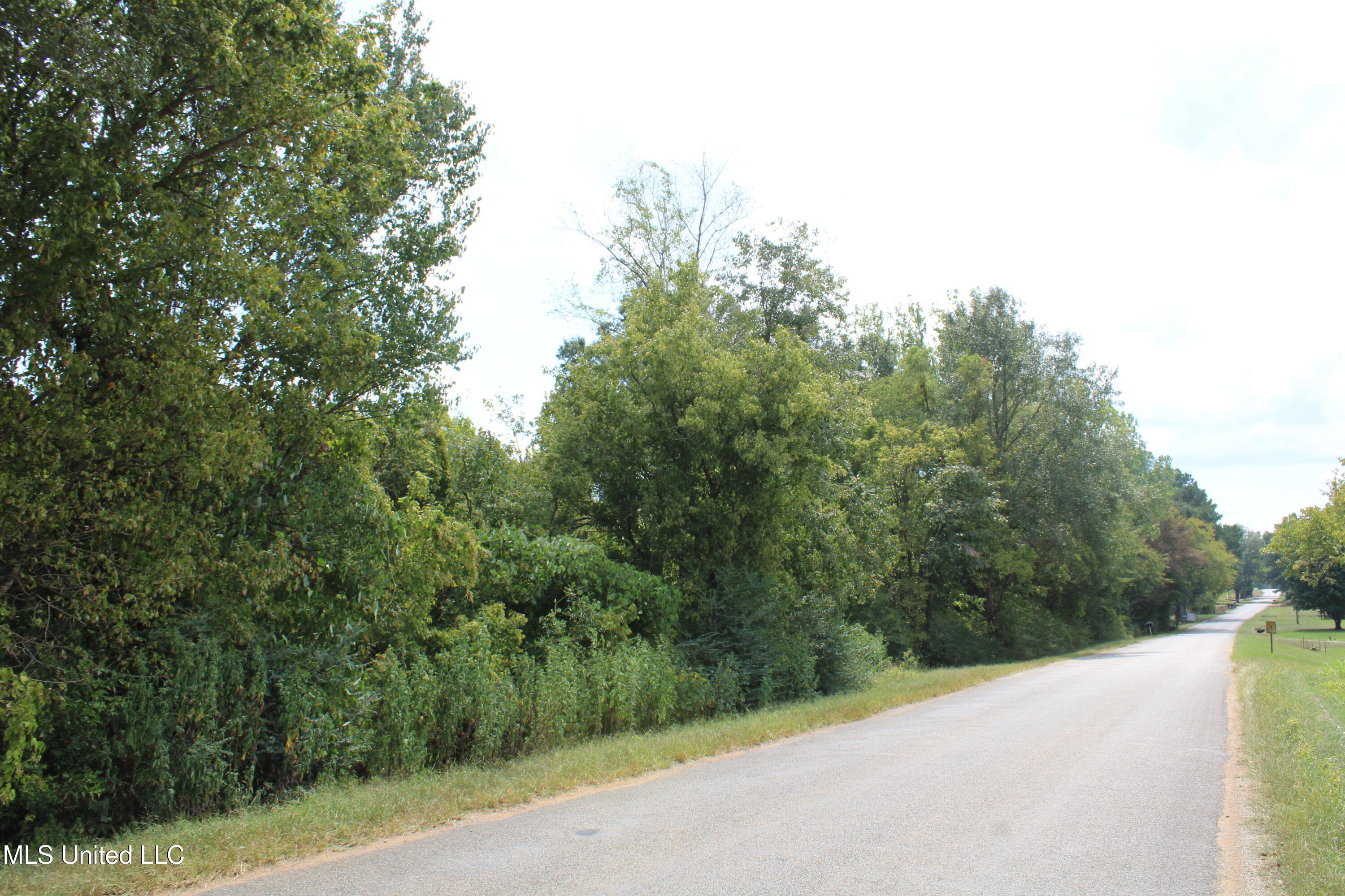 700 Spain Road Ecru, MS 38841 - Photo 13 of 25 IMG_6475