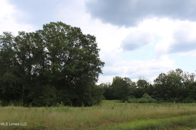 $425,000 | 700 Spain Road, Ecru, MS 38841