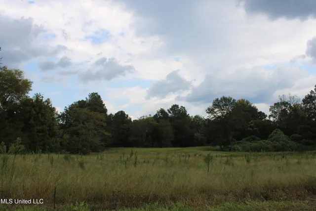 $425,000 | 700 Spain Road, Ecru, MS 38841