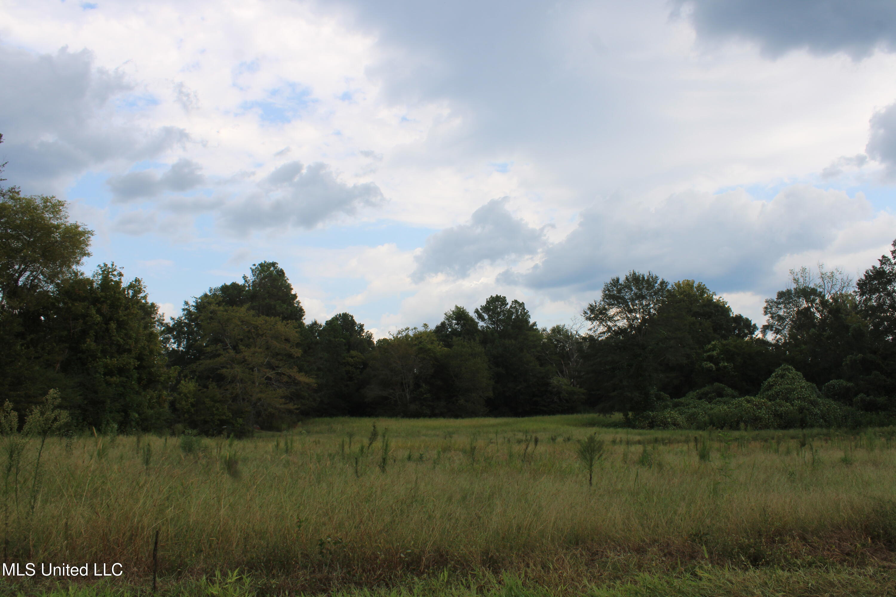 700 Spain Road Ecru, MS 38841 - Photo 15 of 25 IMG_6477