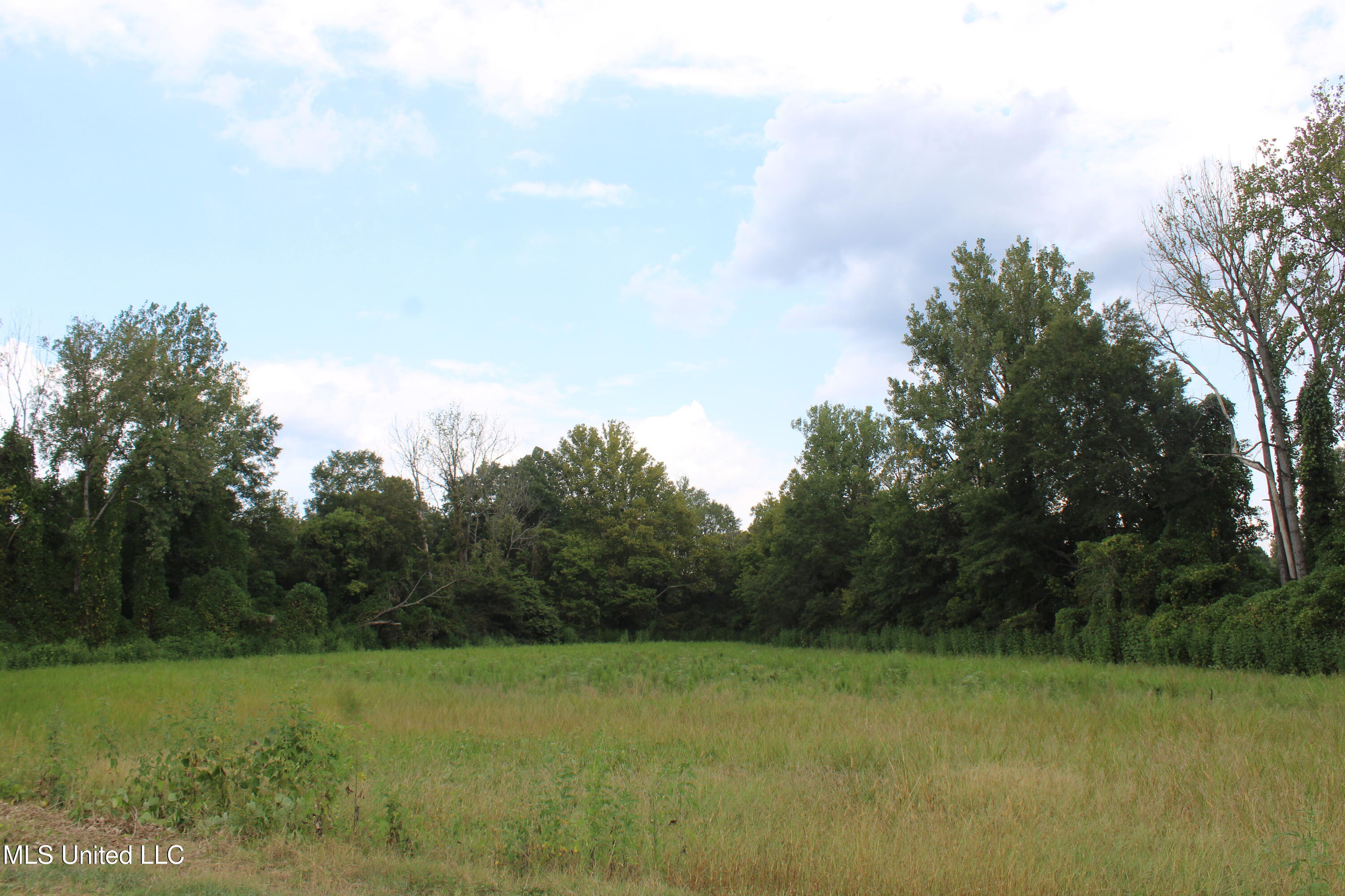 700 Spain Road Ecru, MS 38841 - Photo 16 of 25 IMG_6478