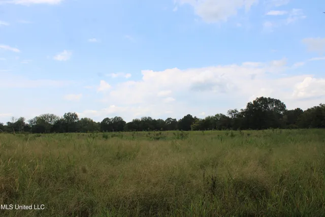 $425,000 | 700 Spain Road, Ecru, MS 38841