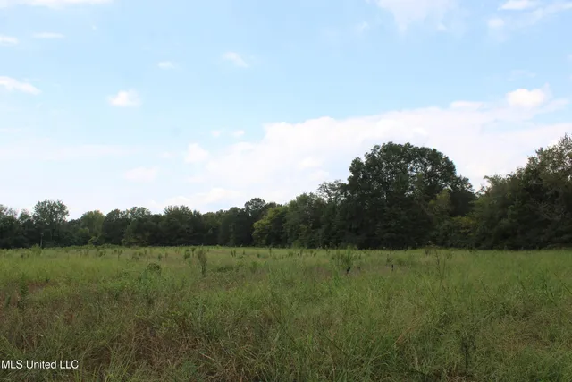 $425,000 | 700 Spain Road, Ecru, MS 38841