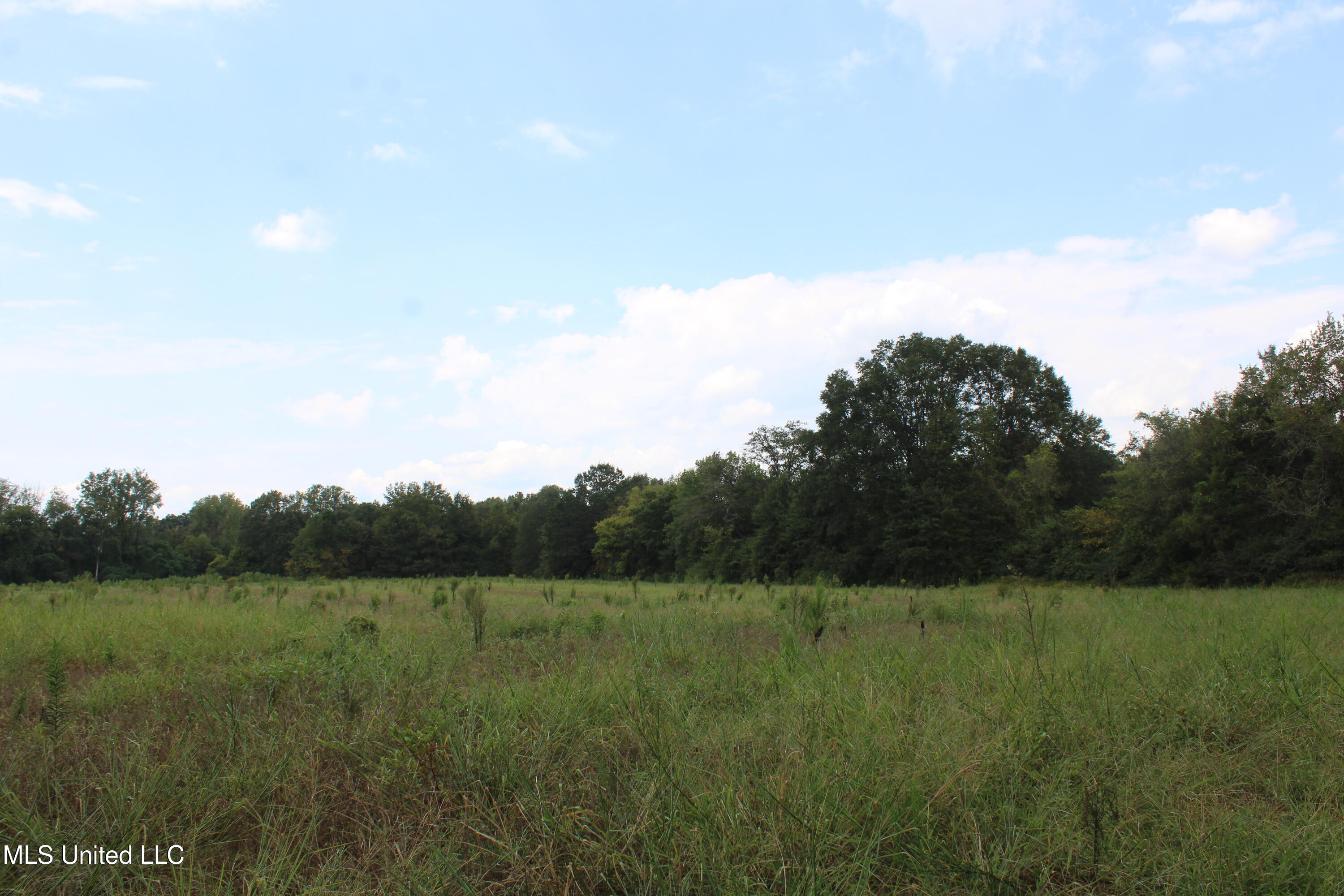 700 Spain Road Ecru, MS 38841 - Photo 18 of 25 IMG_6480