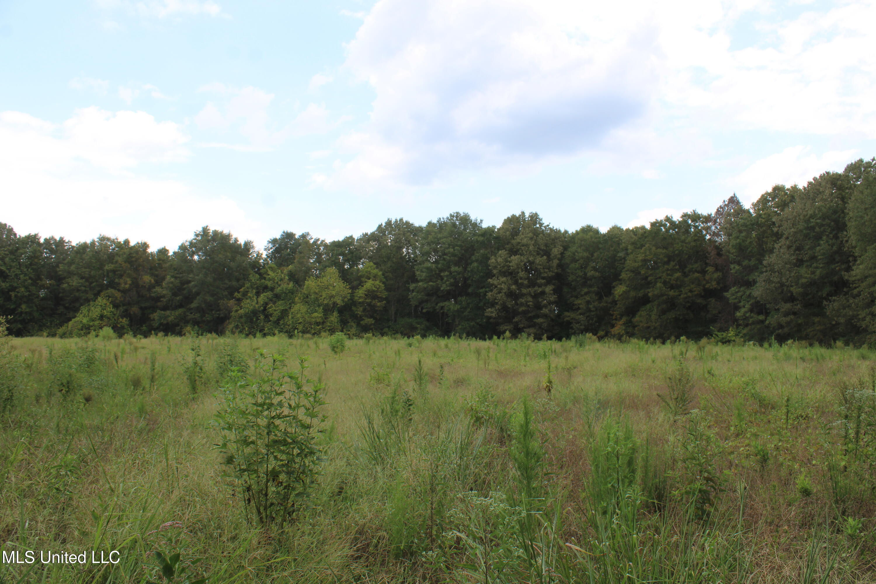 700 Spain Road Ecru, MS 38841 - Photo 19 of 25 IMG_6481