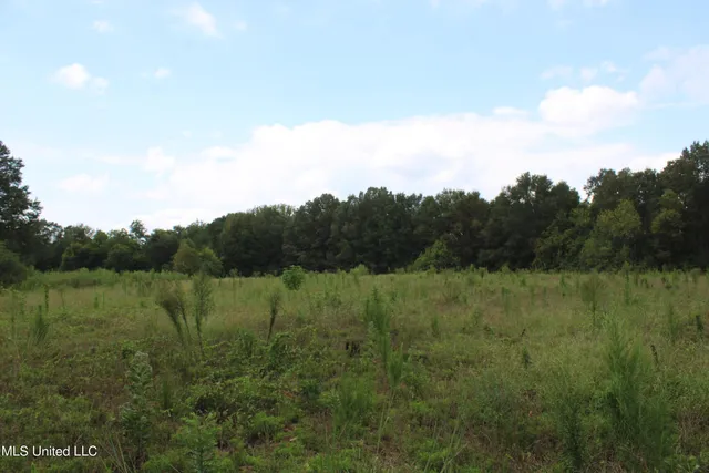 $425,000 | 700 Spain Road, Ecru, MS 38841