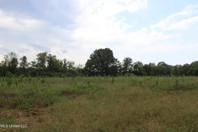 $425,000 | 700 Spain Road, Ecru, MS 38841