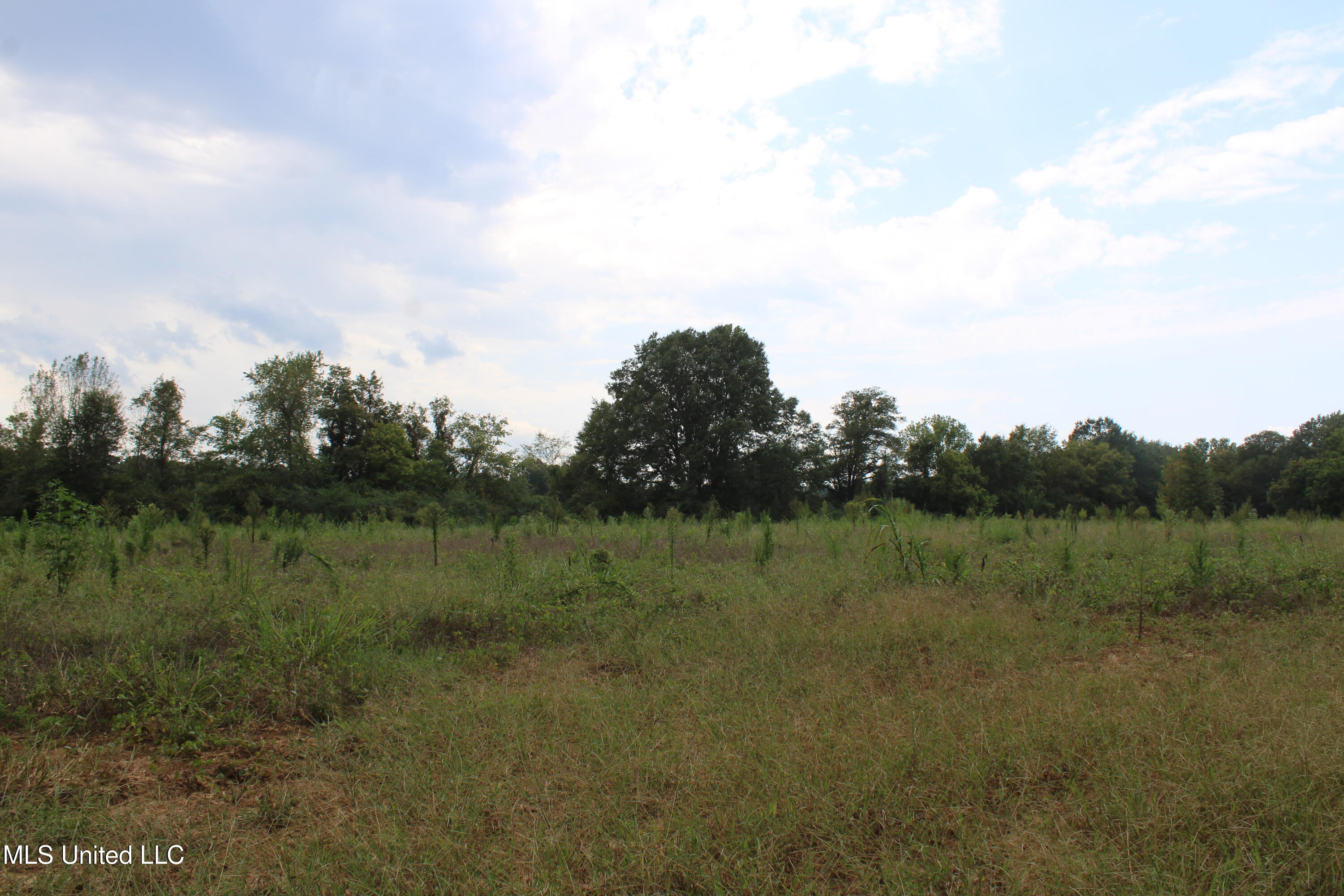 700 Spain Road Ecru, MS 38841 - Photo 21 of 25 IMG_6483