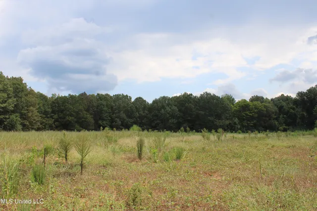 $425,000 | 700 Spain Road, Ecru, MS 38841