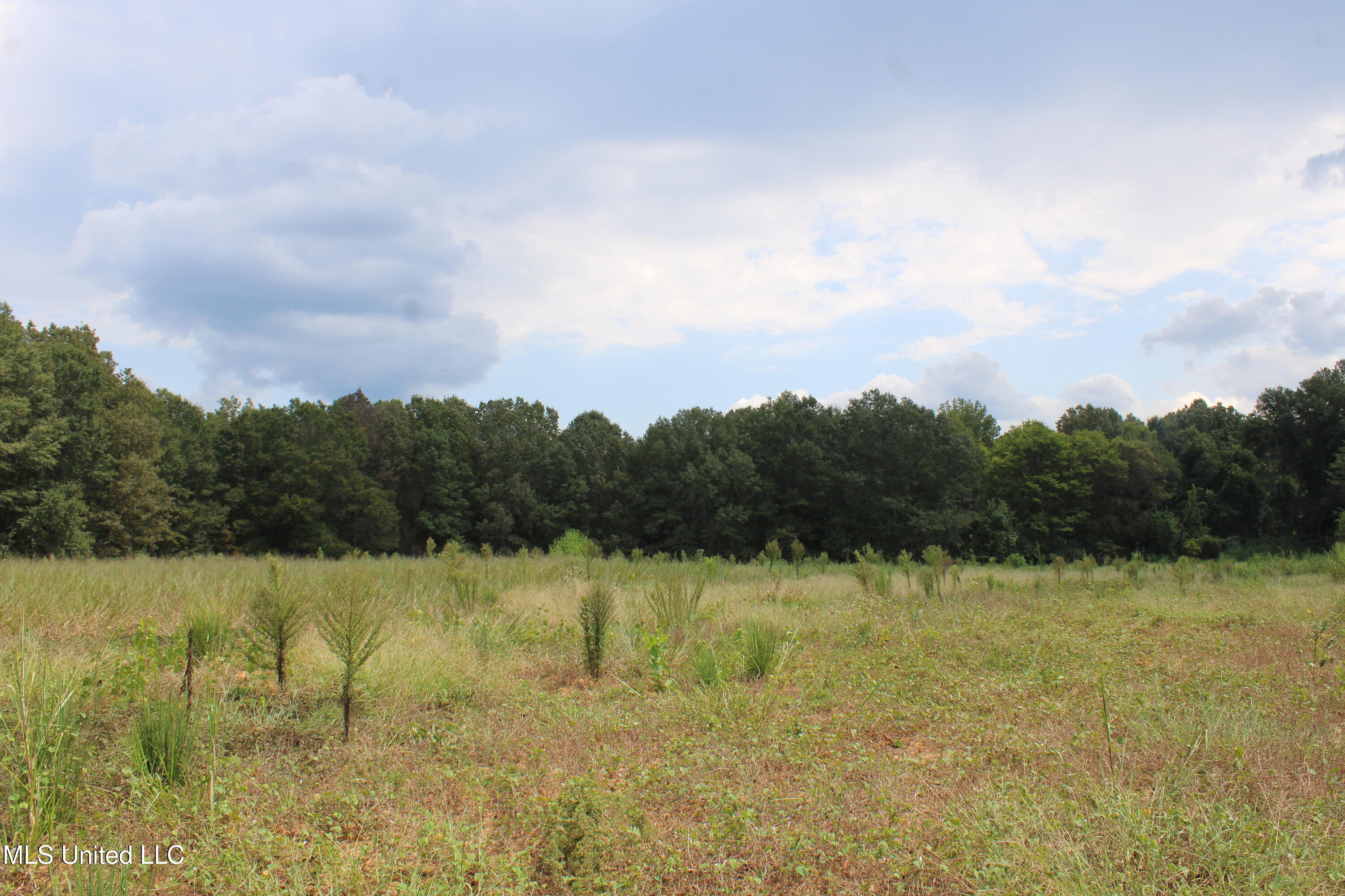 700 Spain Road Ecru, MS 38841 - Photo 23 of 25 IMG_6486