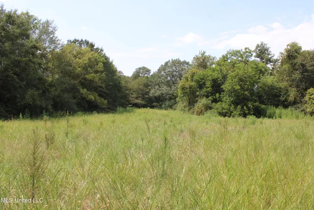 $425,000 | 700 Spain Road, Ecru, MS 38841