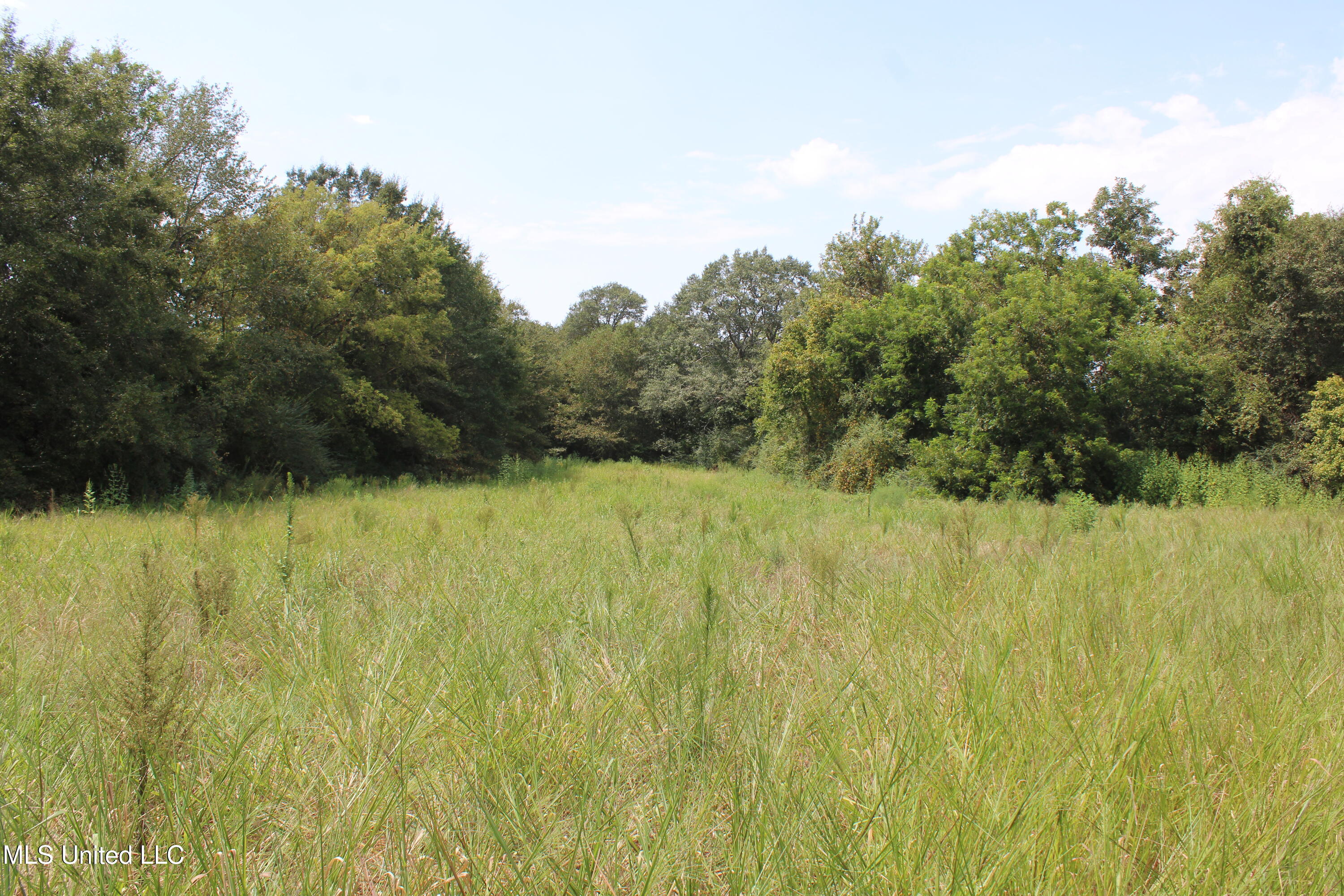 700 Spain Road Ecru, MS 38841 - Photo 24 of 25 IMG_6487