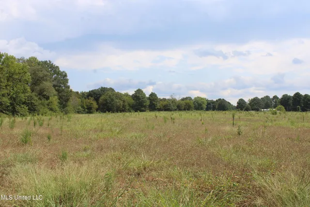 $425,000 | 700 Spain Road, Ecru, MS 38841