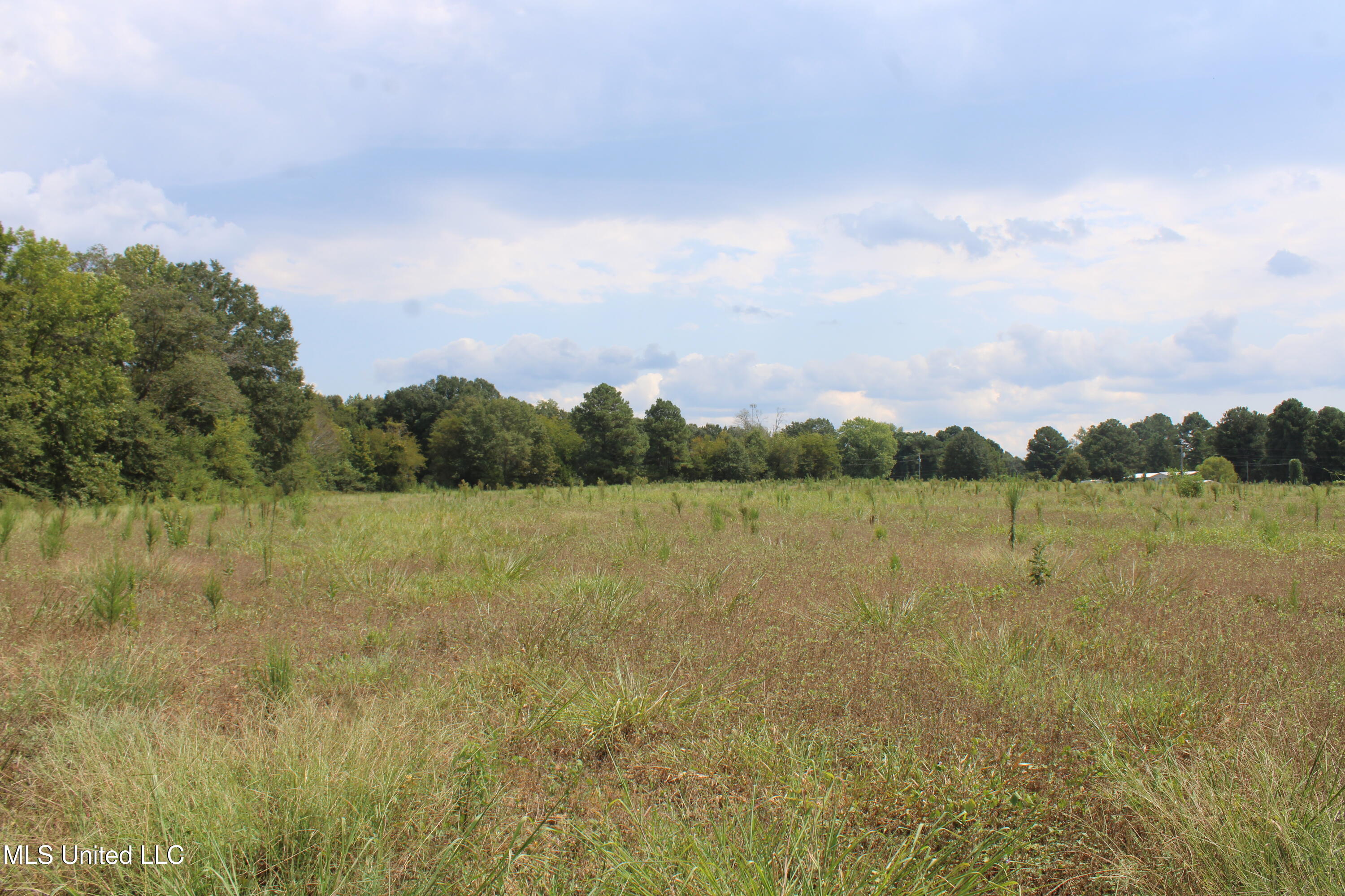 700 Spain Road Ecru, MS 38841 - Photo 25 of 25 IMG_6489