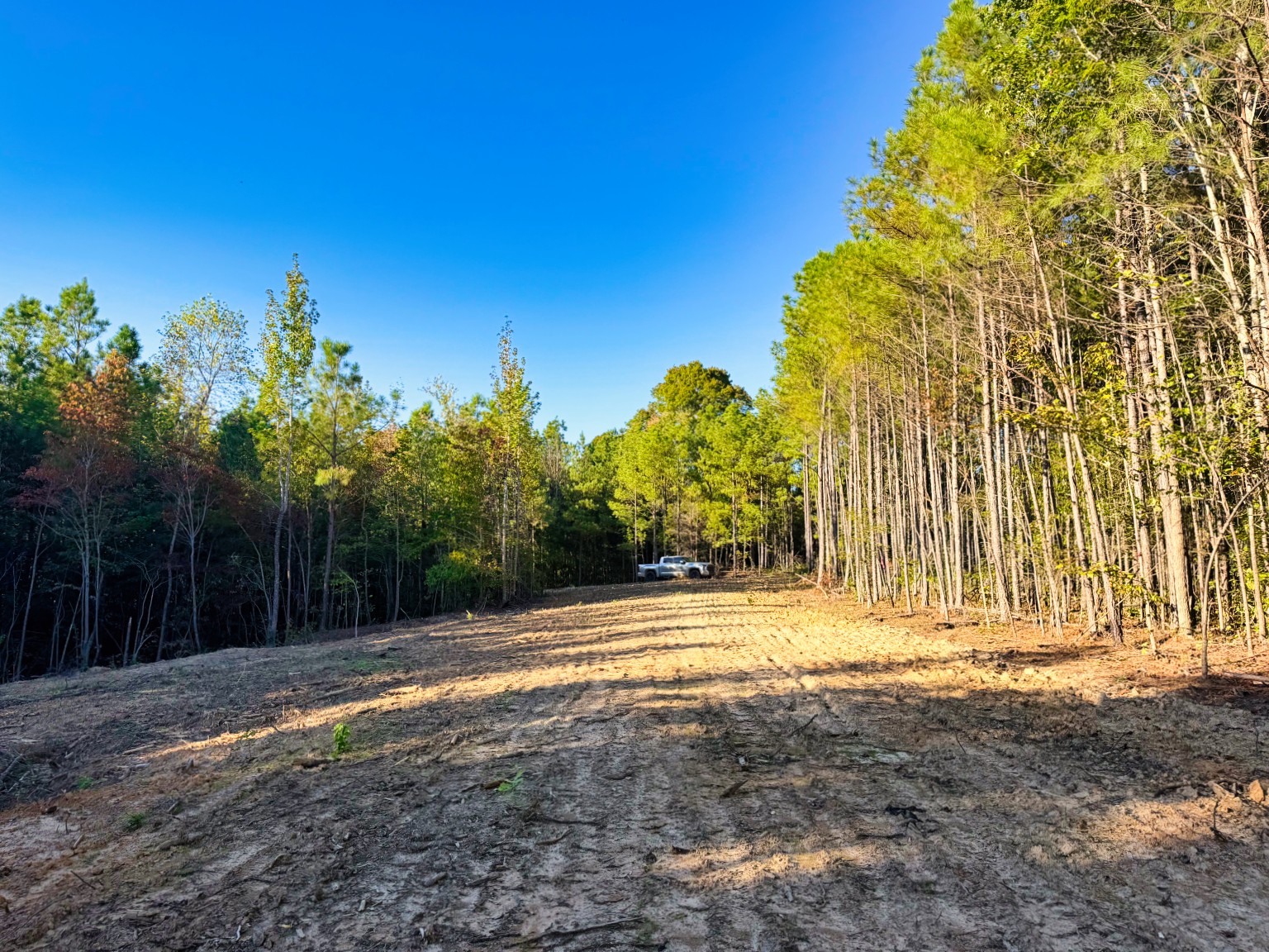 0 Williams Grove Road Camden, TN 38320 - Photo 17 of 38 Gallery Image 17