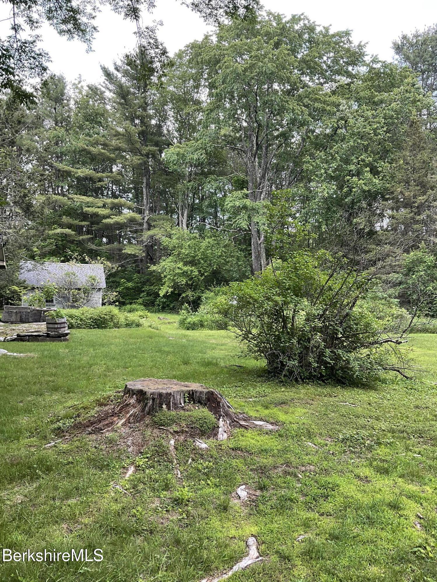 10 Art School Road Monterey, MA 01245 - Photo 4 of 11 Looking toward abutting pond