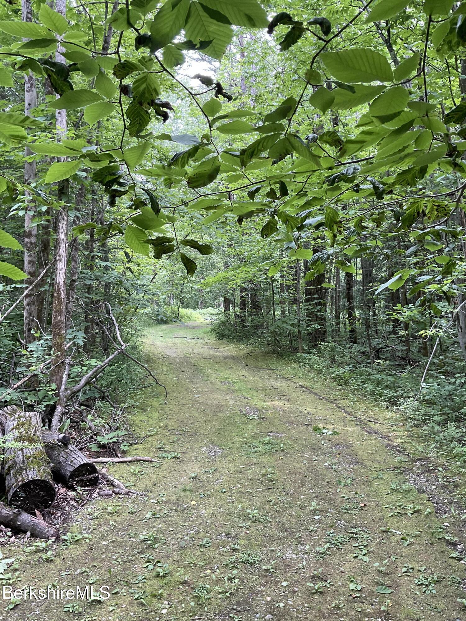 10 Art School Road Monterey, MA 01245 - Photo 7 of 11 Driveway