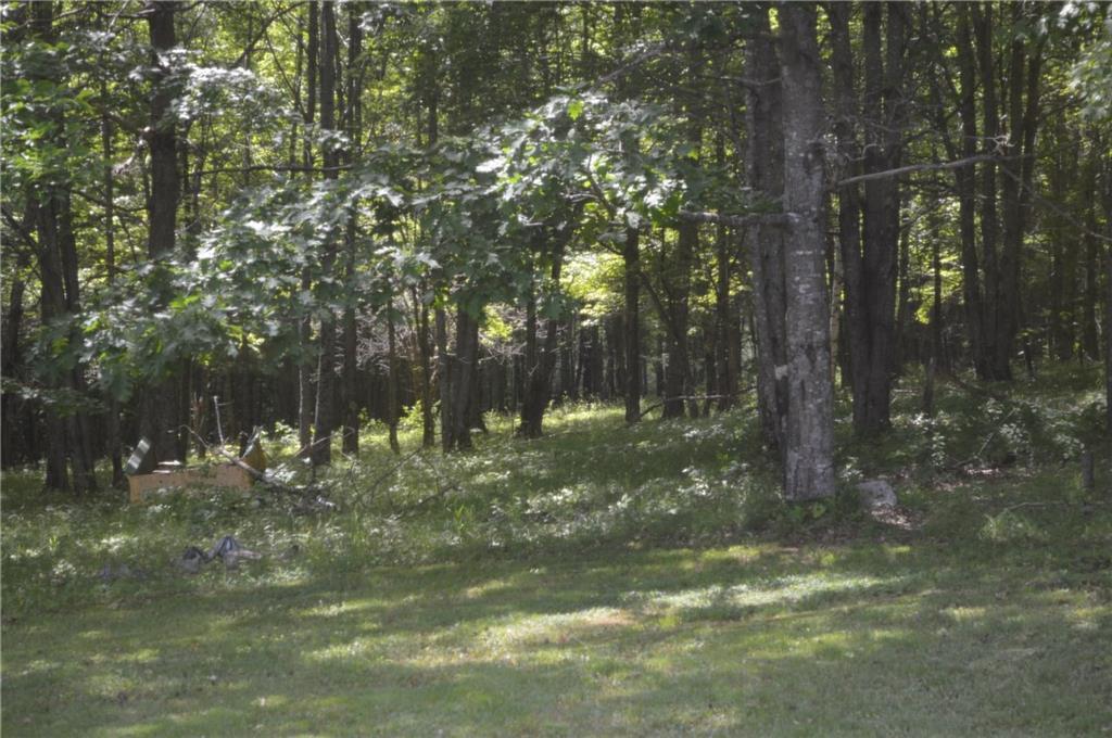0 Peasley Hill Road St. Albans, ME 04971 - Photo 15 of 25 Photo