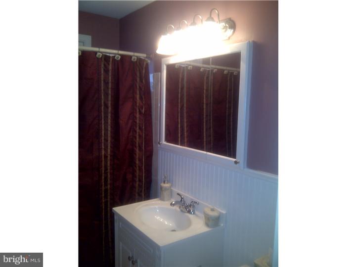 45 Taylor Road Conshohocken, PA 19428 - Photo 10 of 14 Bathroom
