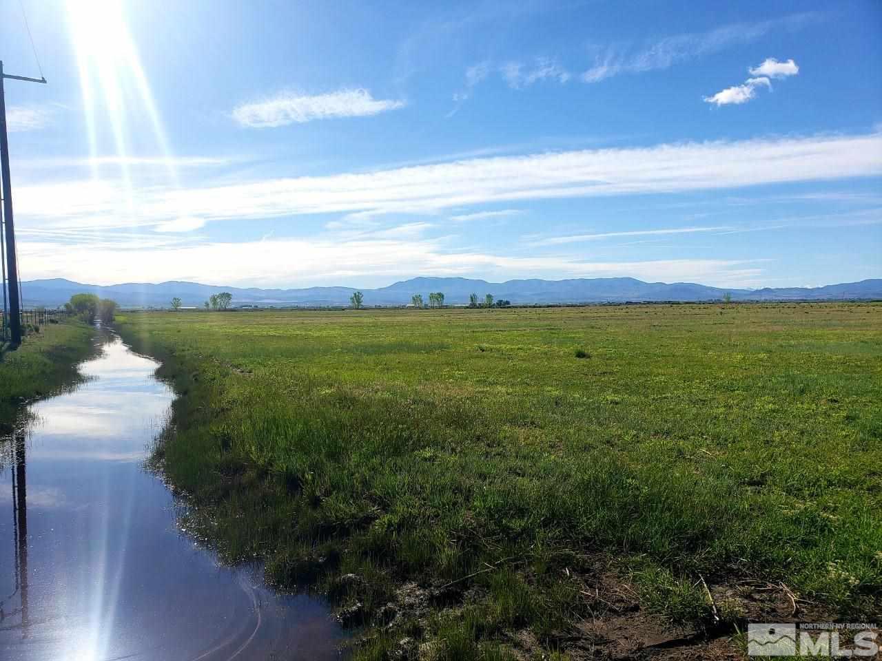 a view of a pathway both side of grassy field with shrub
