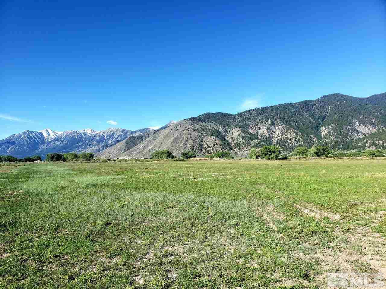 2380 Deerhaven Genoa, NV 89411 - Photo 2 of 3 a view of a lush green hillside and mountains
