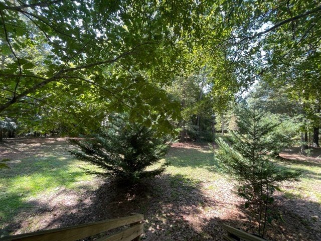 1330 State Rd S-30-83 Laurens, SC 29360 - Photo 10 of 36