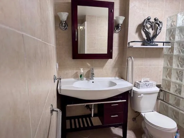 a bathroom with a toilet a sink and mirror