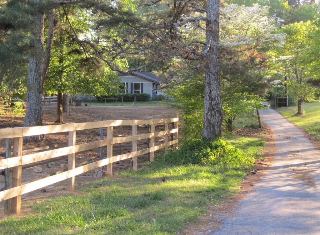 Driveway and front pasture area. 