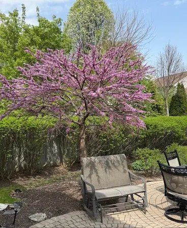 $600,000 | 202 Mill Street, Batavia, IL 60510
