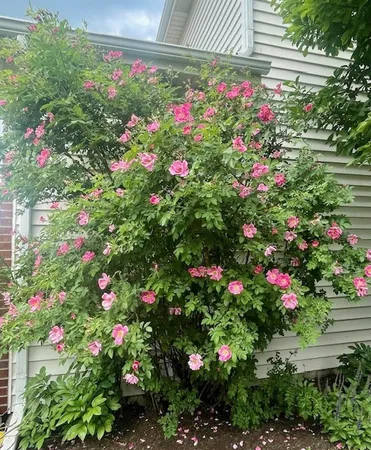 $600,000 | 202 Mill Street, Batavia, IL 60510