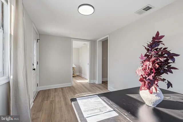 a living room with a potted plant