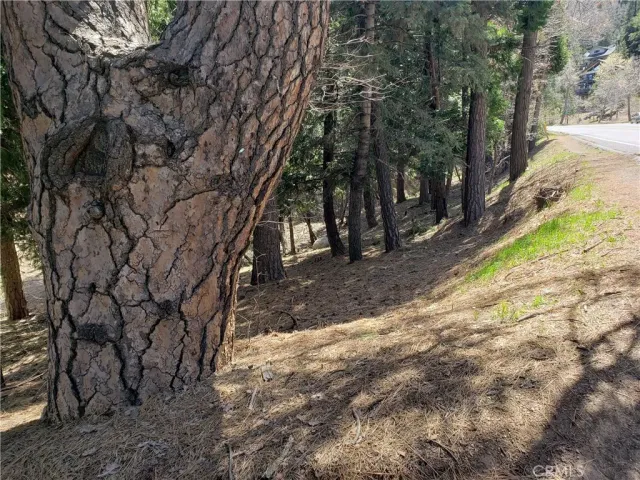 a view of a street with houses