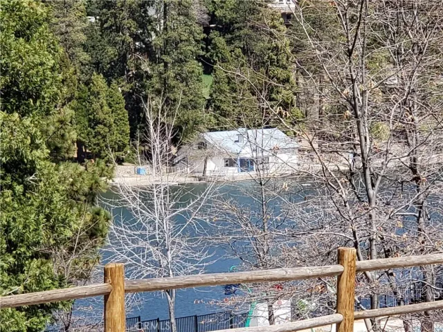 a view of a tree in a yard
