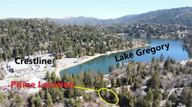 a view of a park with trees