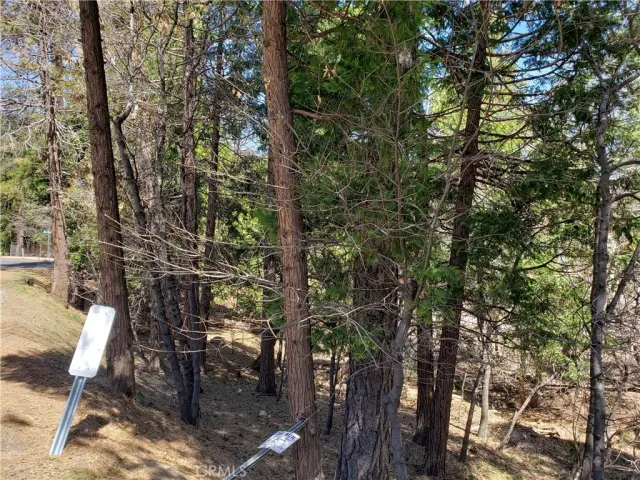 a view of a yard with trees