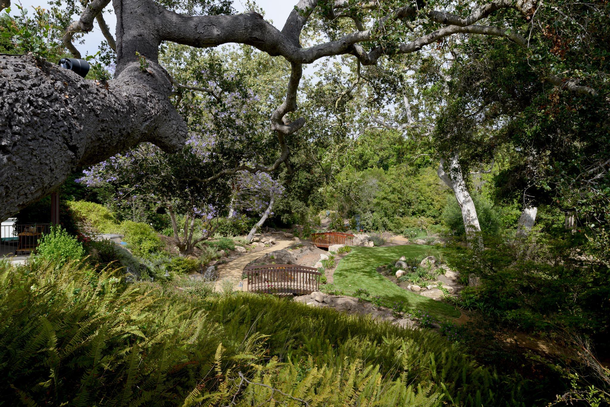 720 El Bosque Road Santa Barbara, CA 93108 - Photo 16 of 21 a backyard of a house with lots of plants and trees