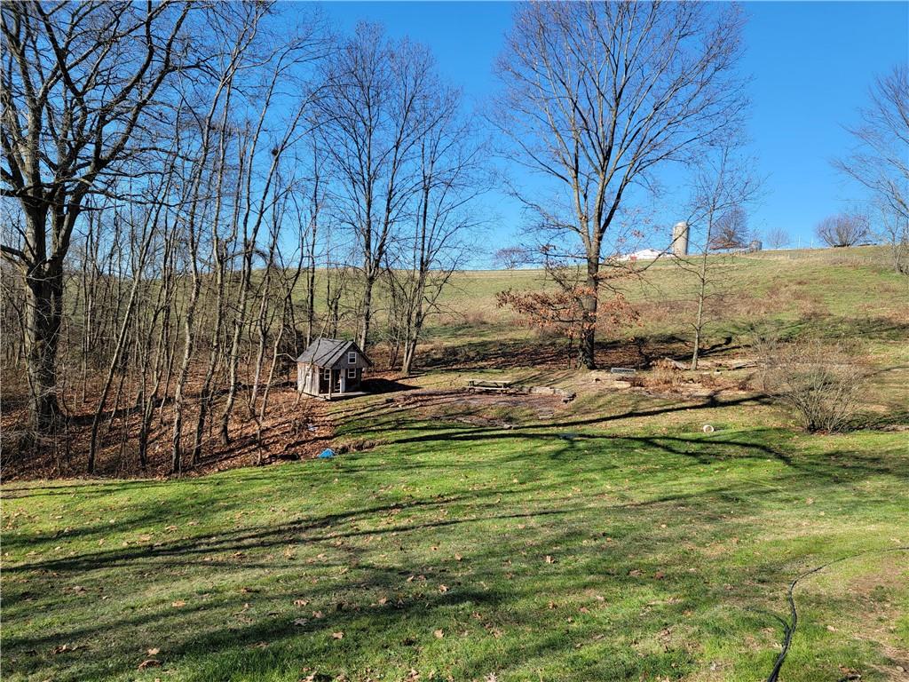 501 Cedar Grove Road Avella, PA 15312 - Photo 3 of 23 a view of a backyard with a large tree