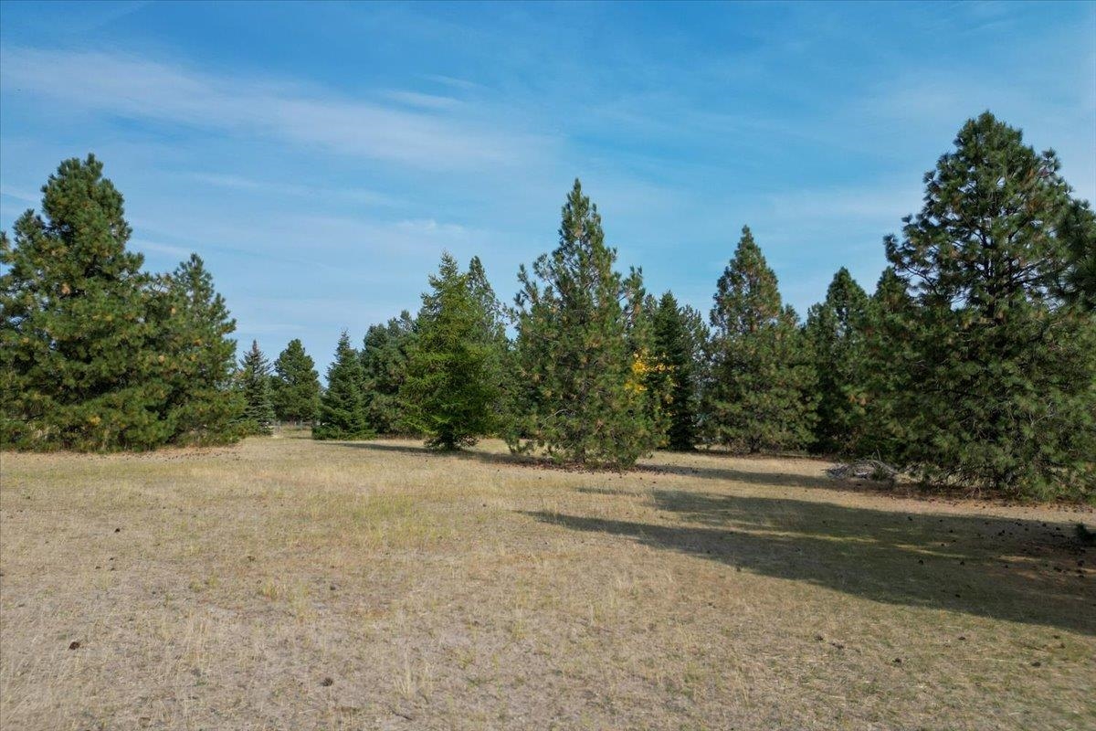 Xxx South Crestview Road Spokane, WA 99224 - Photo 14 of 19