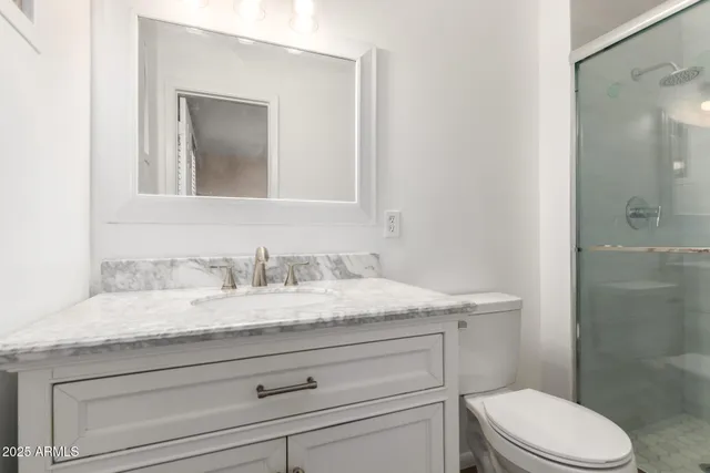 a bathroom with a granite countertop toilet sink and mirror
