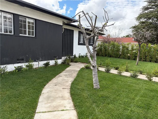 a view of a backyard with potted plants