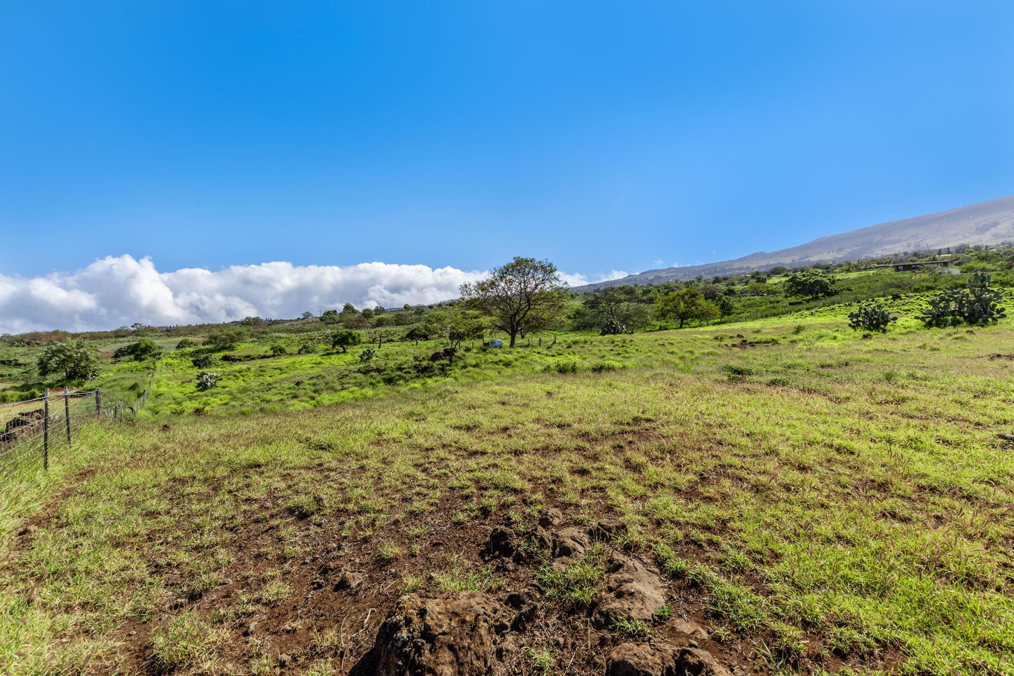 0 Calasa Road Kula, HI 96790 - Photo 8 of 39