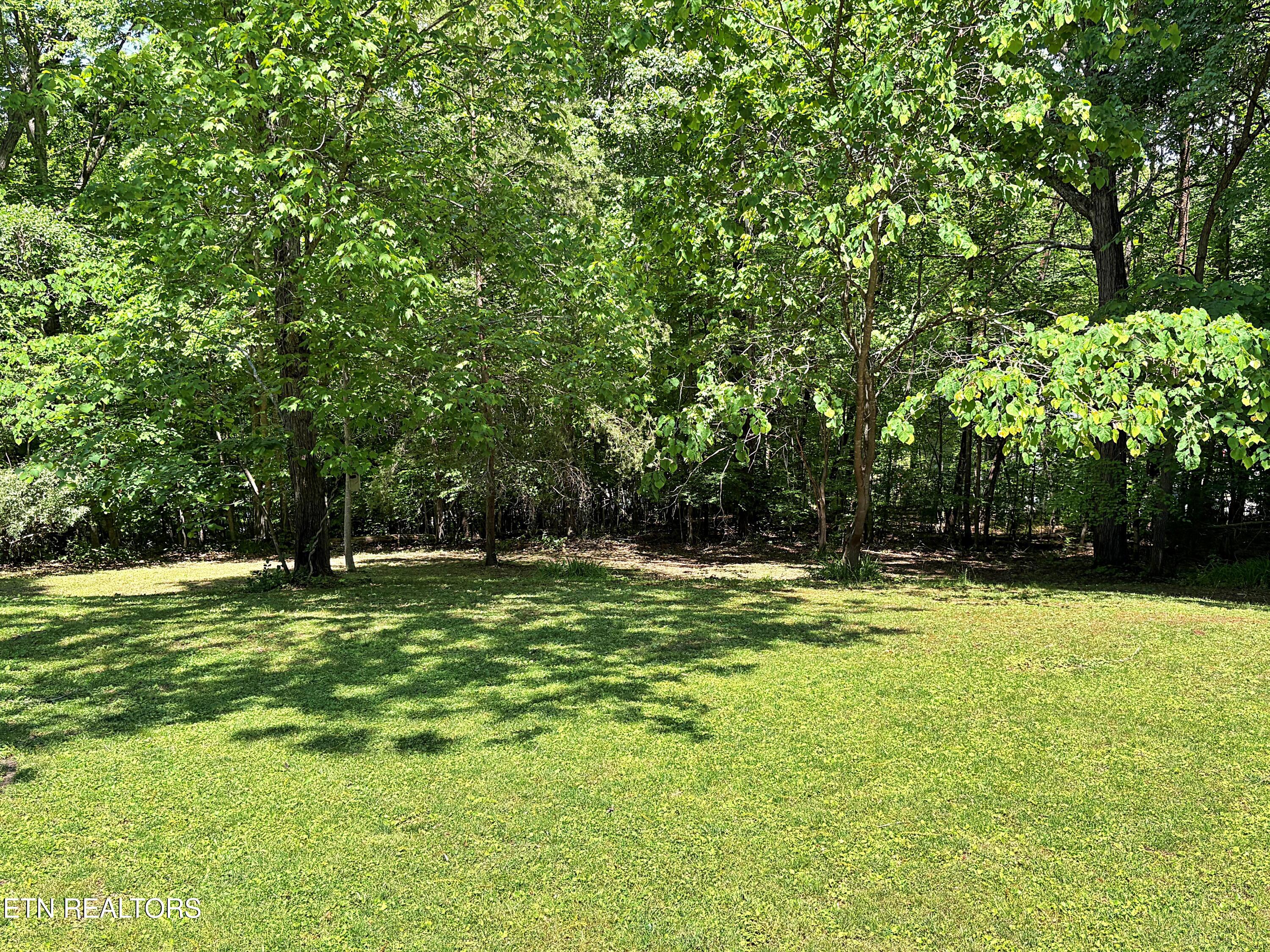 129 Jefferson Street Harrogate, TN 37752 - Photo 21 of 51 IMG_3413